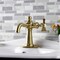 Kingston Brass Single-Handle Bathroom Faucet with Push Pop-Up, Brushed Brass KSD3547NX - alternate 4